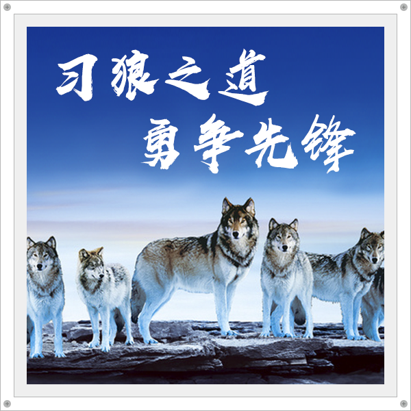习狼之道，勇争先锋